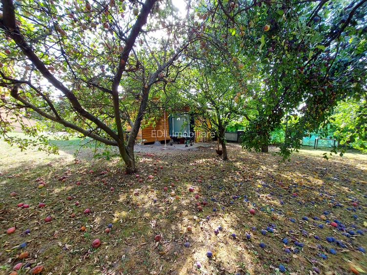 Vilă premium de închiriat, Făget, 400 mp și 2.412 mp teren