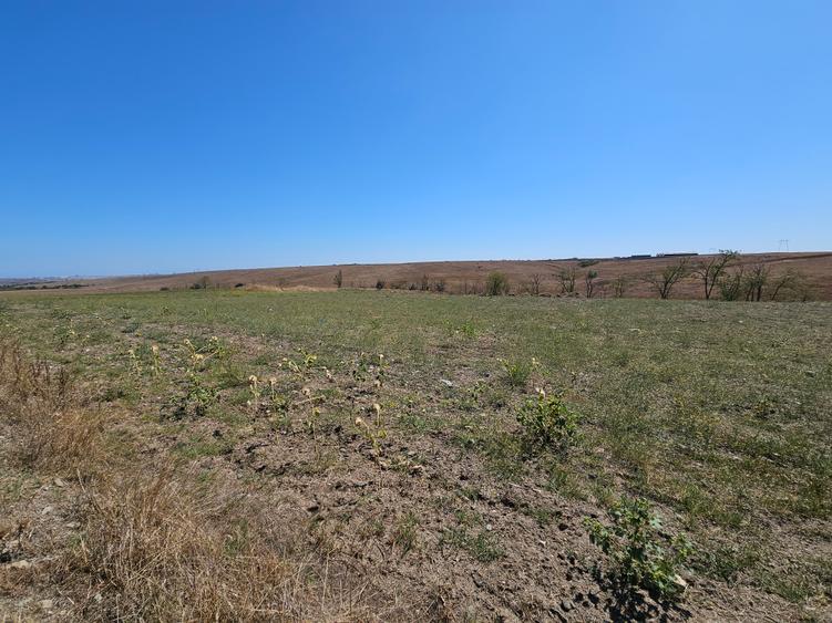 Teren Extravilan 10000 Mp Sibioara Constanta