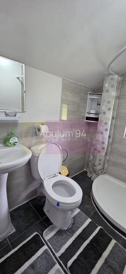Vila din padure in Valea Doftanei - 22