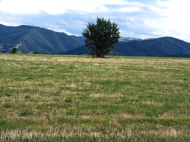 Oportunitate-Teren Extravilan 6200 mp cu vedere Panoramica-Tropinii Noi-Rasinari - 6