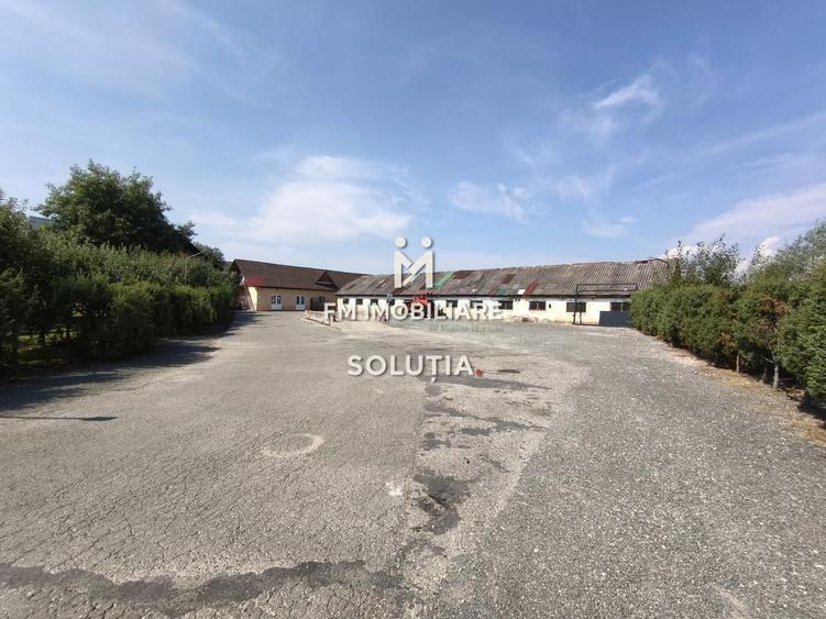 Complex industrial cu teren 18,672 mp Târgu Lăpuș