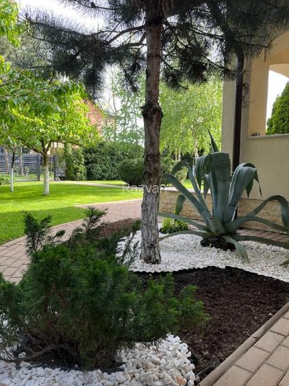 Vilă Premium 5 Dormitoare, Corbeanca | Grădină Matură 600mp lângă Paradisul Verd - 6