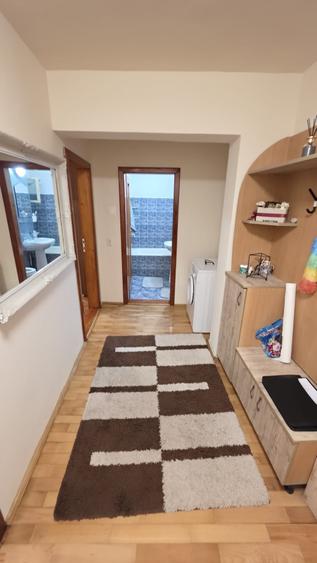 Apartament 2 camere, 50 mp, complet mobilat-utilat, Cetate, 300 Euro