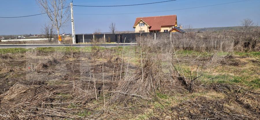 Teren intravilan, 15256 mp, deschidere bilaterala, zona Robanesti