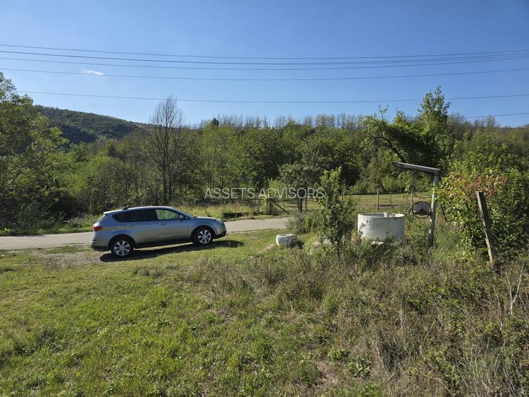 Oportunitate Investitie - Teren Intravilan Zona Viticola - 15