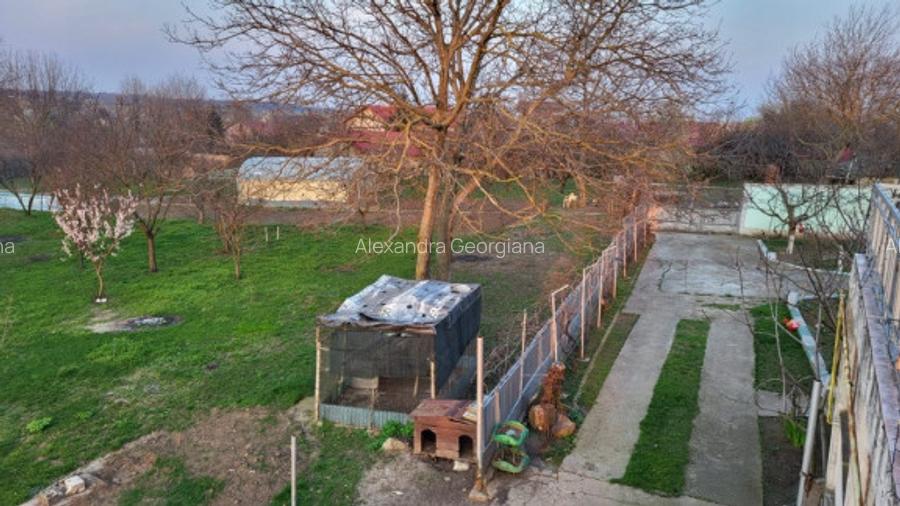 Teren 6000 mp + casa + anexe la marginea satului Dascalu - 2
