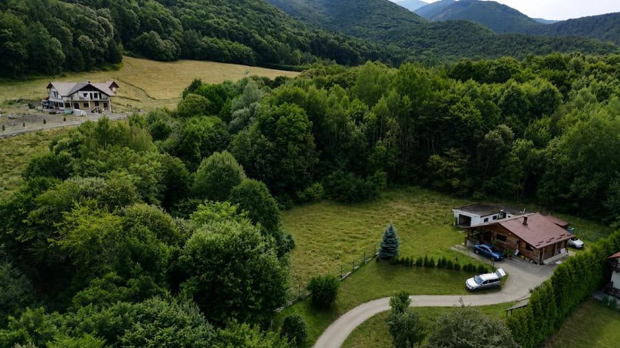 Teren intravilan 2.938 mp în Tocile – pădure, pârâu și potențial de construire