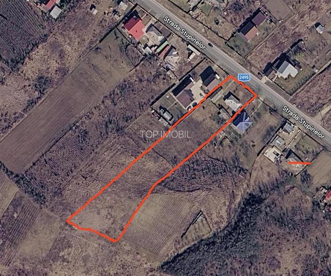 Teren 4800MP - Tomesti - La Soseaua Principala - 4