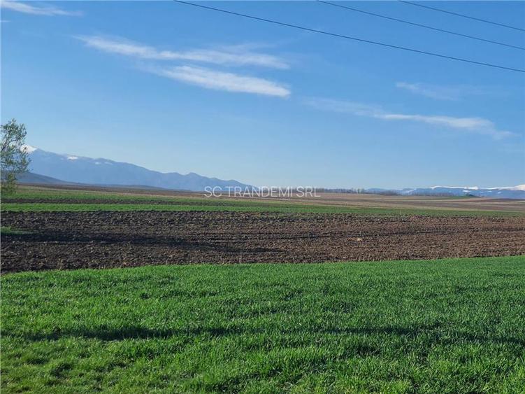 Teren extravilan 4.500- max.18.300mp in comuna Rosia (17 km de Sibiu) - 10