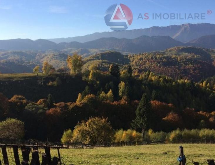 Oportunitate! Teren 10.669 mp în Moieciu de Jos –Natură Pură, Potential Turistic