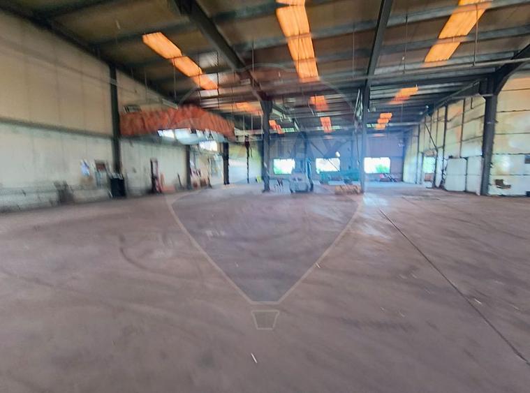 Spațiu industrial Hala Branesti deschidere directa DN3
