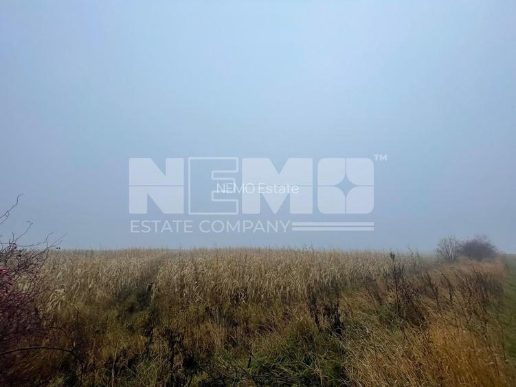 TEREN EXTRAVILAN | DOUA PARCELE 2.84 HA| DARMANESTI - 17