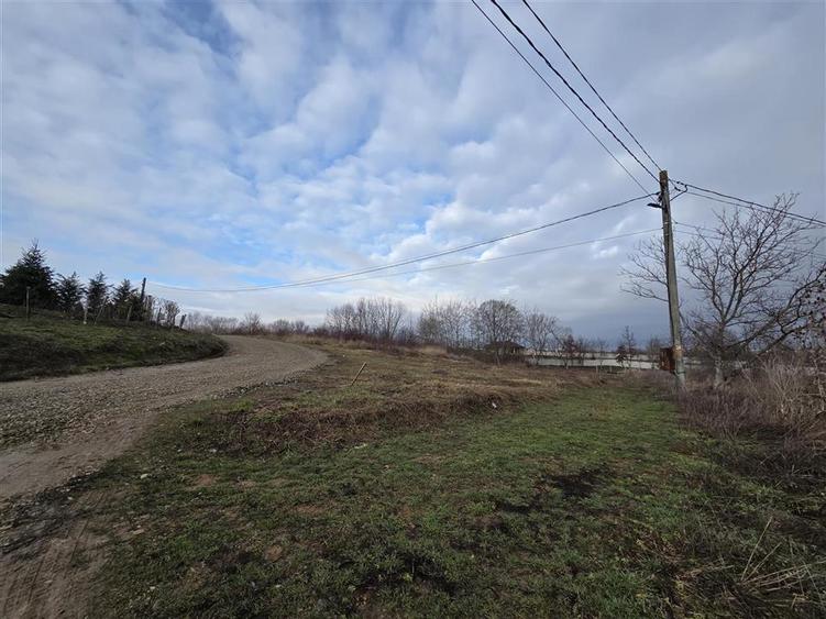 Teren intravilan,dublu front,Paleu,Oradea,Bihor