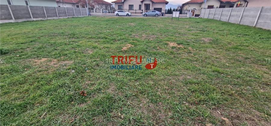 Oportunitate de Achiziție Teren Intravilan în Ciugud - 3