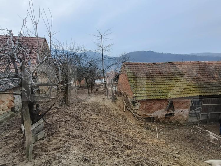 Casa renovabila 5 camere baie si anexe 2800 mp teren in   Pianu de Sus - 9