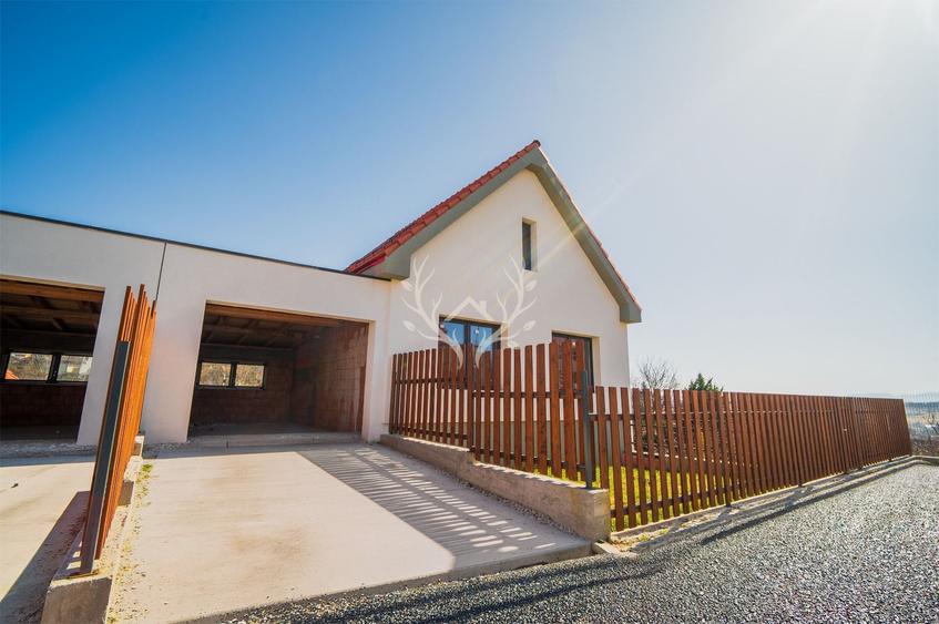 Comision 0% Casa in Saliciea, 221 mp utili, teren 523 mp