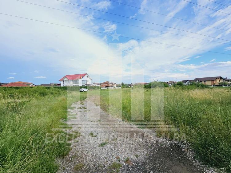 Teren intravilan | De vanzare | 5998 mp | 55 ml deschidere | Cetate
