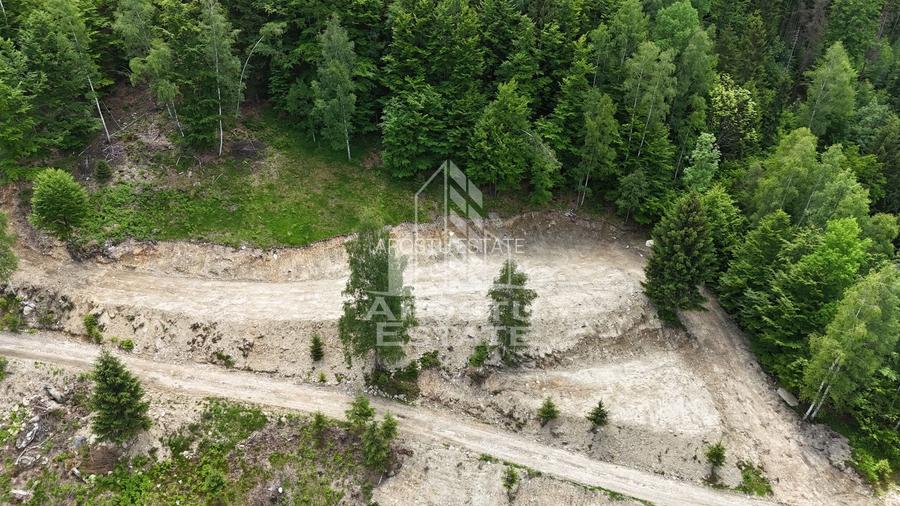 Oportunitate! Domeniu montan, cu lac propriu, oras Lupeni, Hunedoara - 38