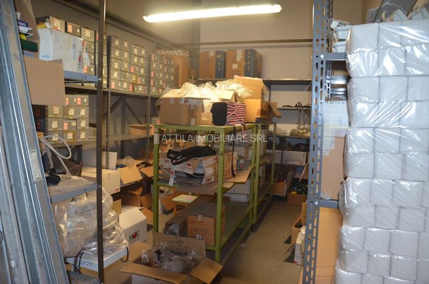Hala Calea Lugojului 1300 mp 5590 euro - 7