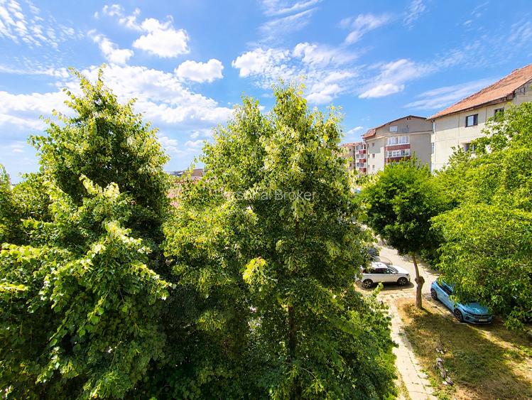 Apartament 2 camere | Zona Sagului - Steaua - 11