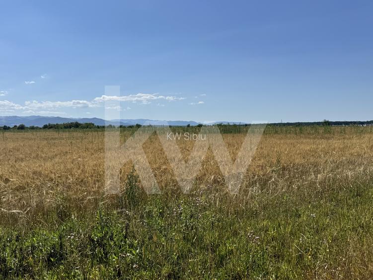 Teren 720 mp Seviș | 23 m front | Oportunitate investiție 24.480€ - 10