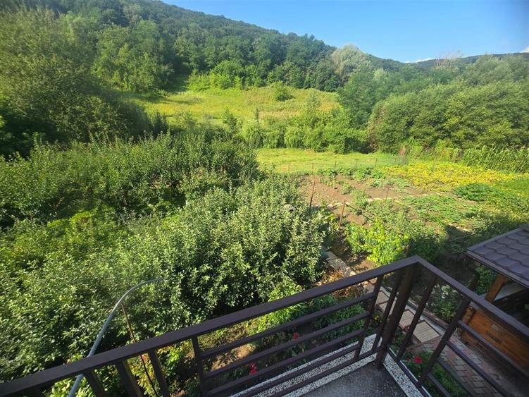 Casa in Luncani cu teren 5500 mp