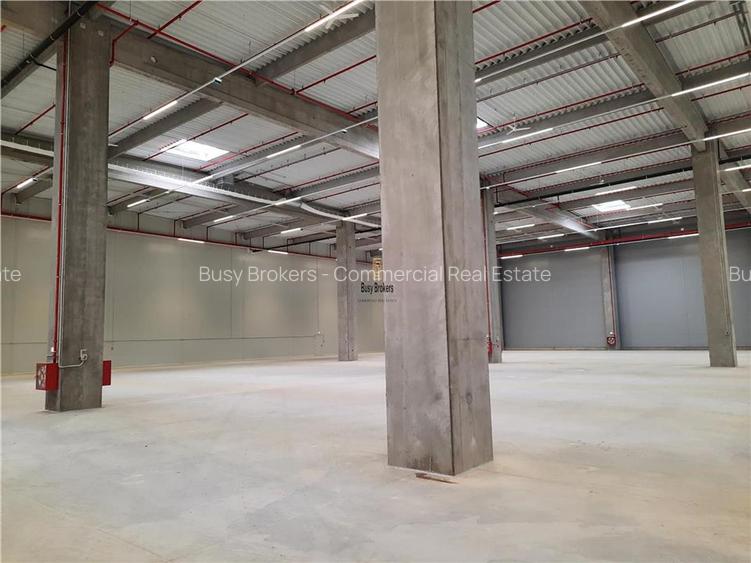 Spatiu Industrial - 5000 mp - Logistica - Productie - Depozitare - Distributie - 13