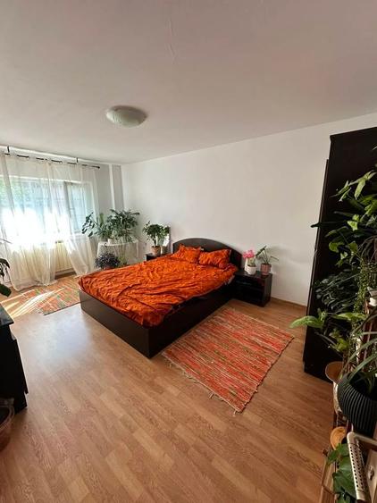 Apartament 1 camera Nicolina-Prima Statie, ETAJ 1, ideal investitie