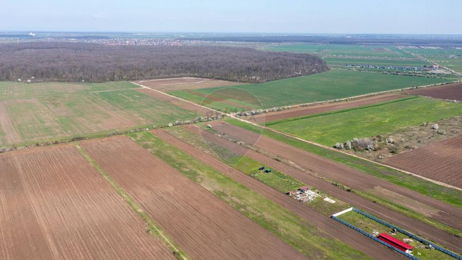 Vanzare teren intravilan 500 mp Sabareni /  Strada Orhideelor