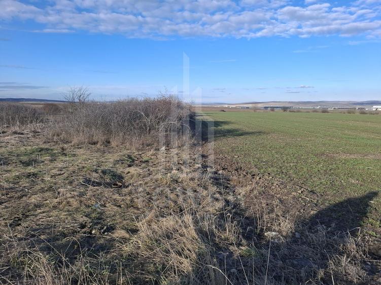Teren Intravilan de Vânzare – 4300 mp – Cristian, zona Aeroport