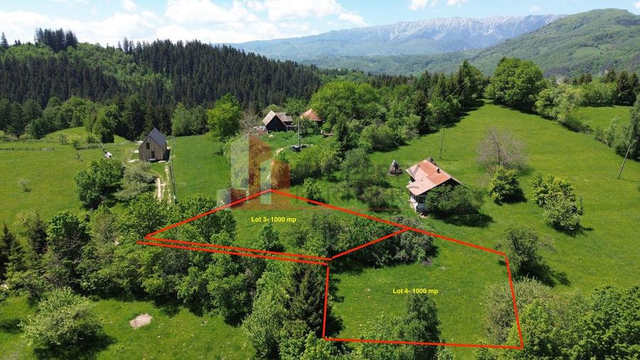 Loturi de teren 1.000 mp | Poarta – Bran | Vedere panoramică către Munții Bucegi