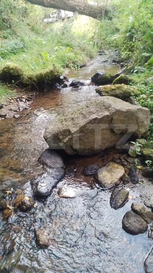 Cabana cu parau si brazi maturi, 1400mp, Valea Fericirii