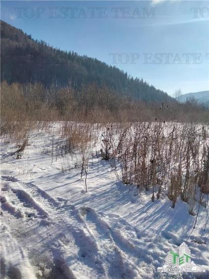 Teren Intravilan Sinaia 444 mp