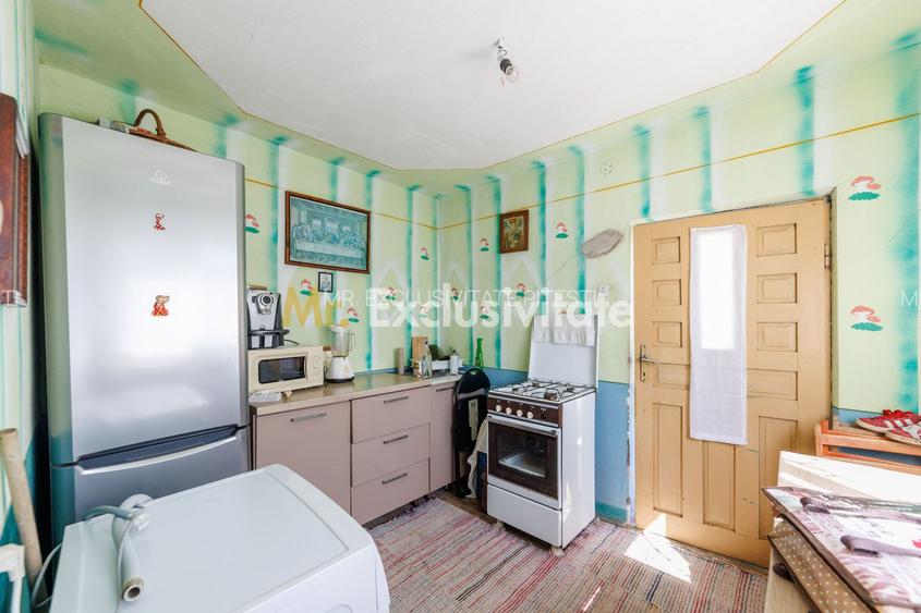 CASA SI GOSPODARIE DE VANZARE – SPINENI, OLT | 4.000 MP TEREN - 4