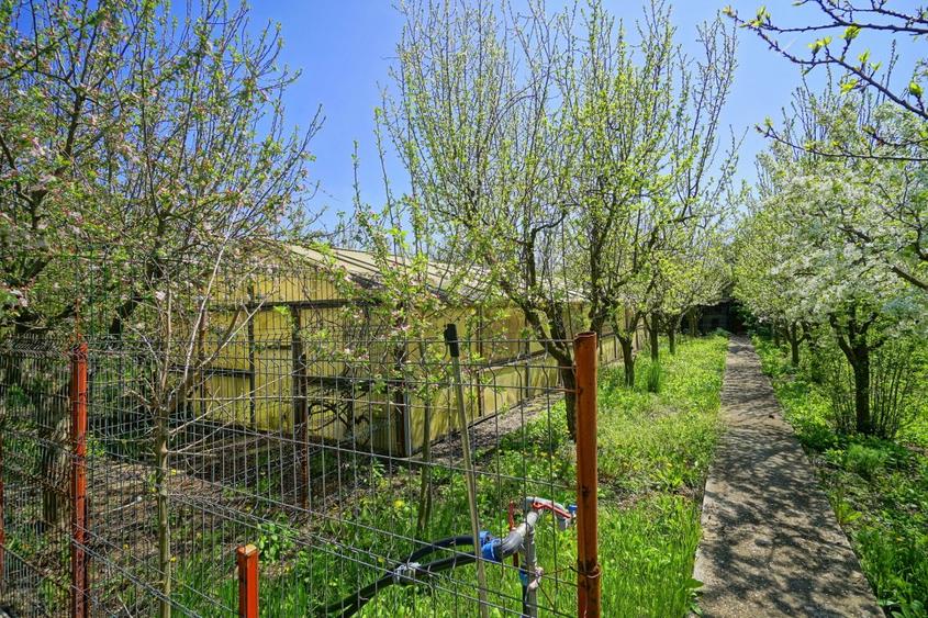 VILA CU PISCINA SCROVISTEA, IDEALA CAMIN DE BATRANI