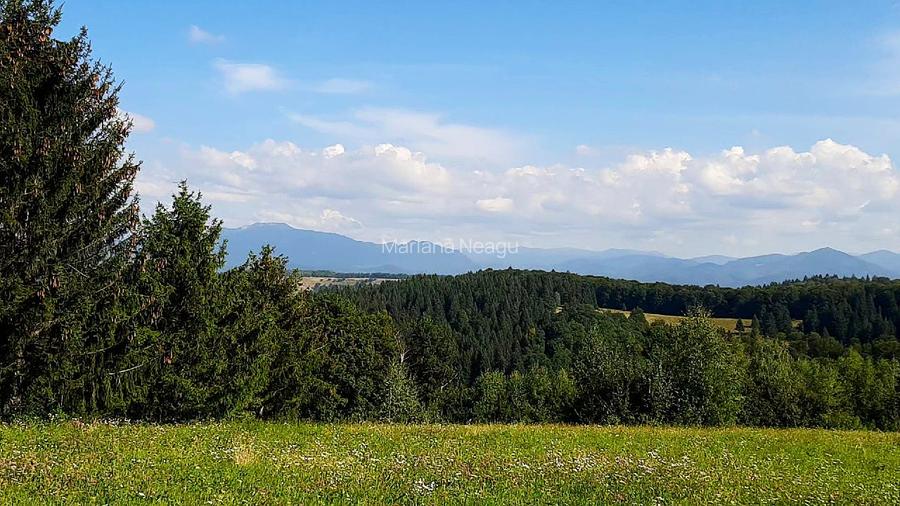 Teren Poiana Mărului Brașov,  PUZ, 11600mp, pe ruta via Transilvanica - 2