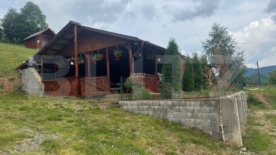 Casa cu teren de 2330 mp, anexa de 15 mp, zona Muntele Rece - 8