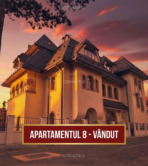 Apartament de vacanta VANDUT - (AP8)