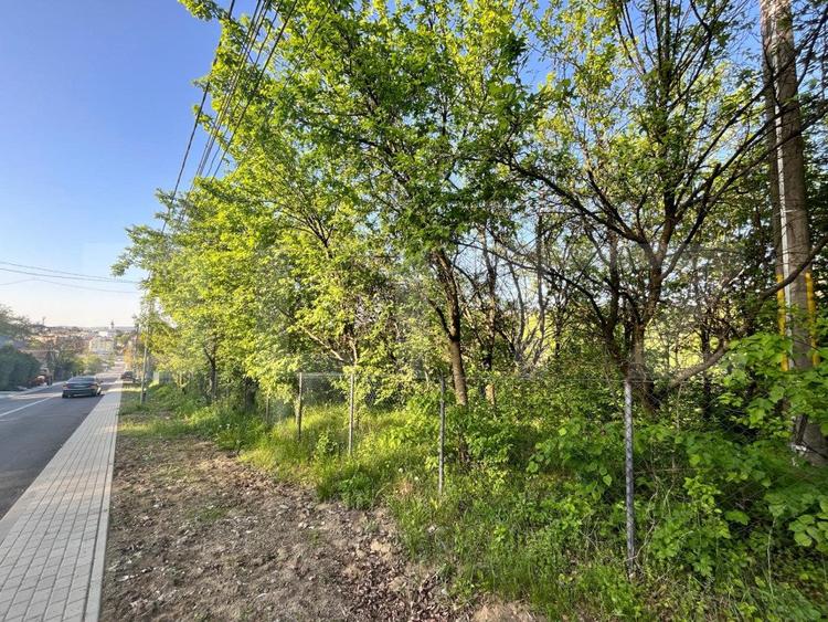 Teren intravilan ,cu vegetatie, 2700 mp, zona Siret