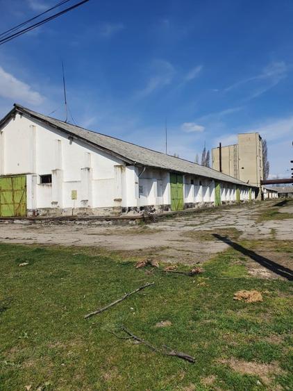 De vanzare baza de cereale cca 40.000 mp, intravilan, Oras Vânju Mare