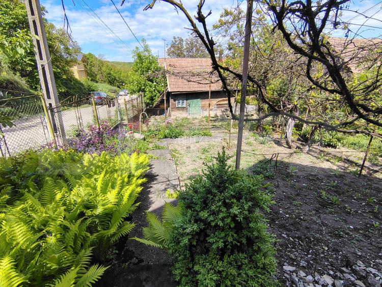 EXCLUSIVITATE! Casă tradițională cu teren 1513 mp, cu anexe, în Cojocna - 20