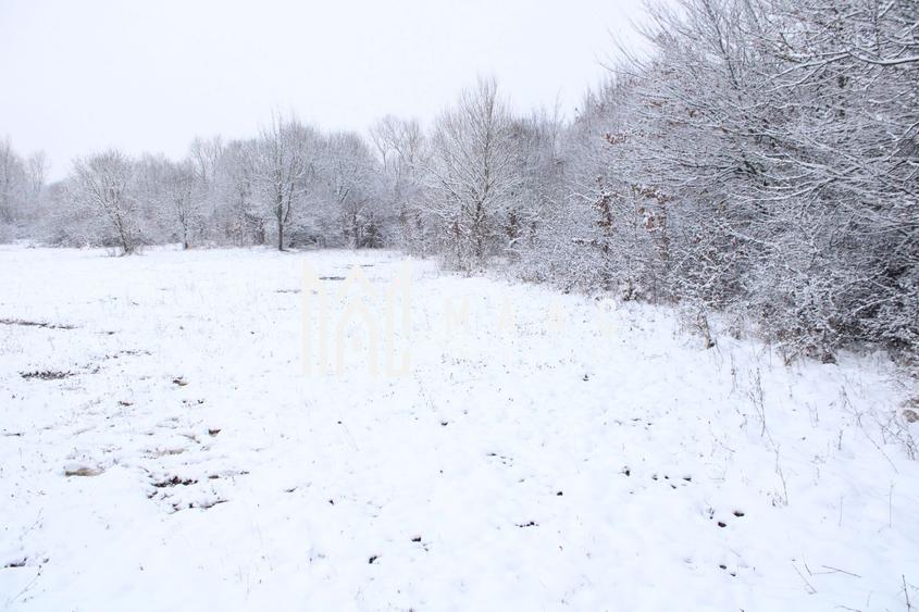 Teren intravilan I Cisnadie I Zona in dezvoltare