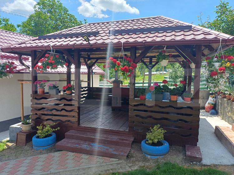 Casă de vânzare cu anexe, 35 ari teren, Adancata
