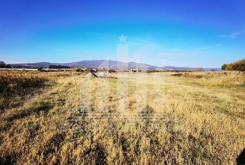 Teren intravilan | 1800 mp | 14 ml deschidere | Alba-Micesti