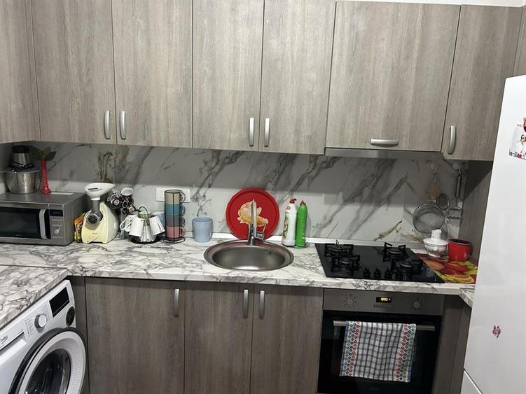 Apartament 1 cameră, Vișan