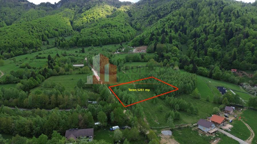 Teren intravilan 5.261 mp Tohănița | Deschidere 49 m | Utilități, lângă pădure