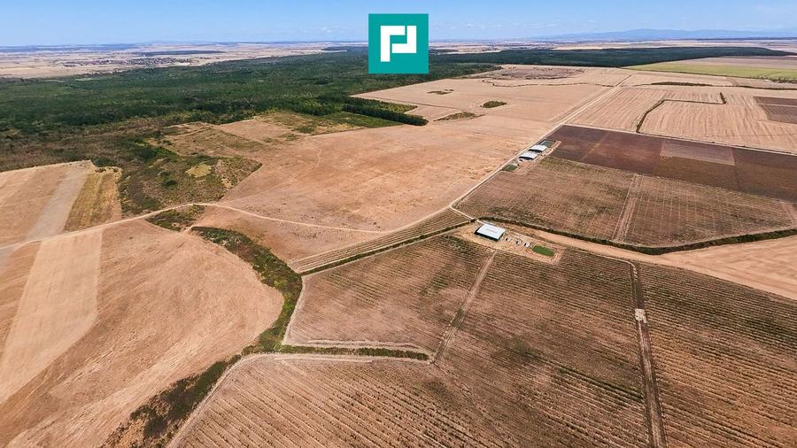 Teren intravilan agricol 558.500 mp Chevereșu Mare