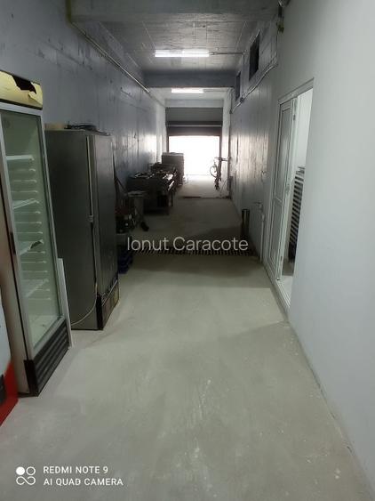 SPATIU DEMISOL 202 MP+CURTE PROPRIE 85 mp - 6