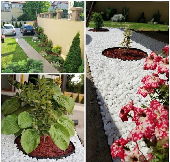 Elegant, Liniște și Confort-Parcare Privata-Curte Privata