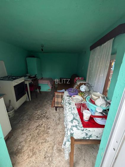 Casa/vila 70mp langa blocuri din caramida , 270mp teren, Filiasi - 12